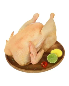 Media Gallina fresca
